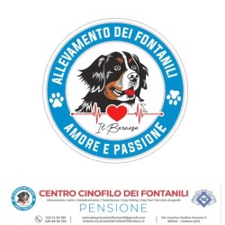 Conosci il tuo cane/3